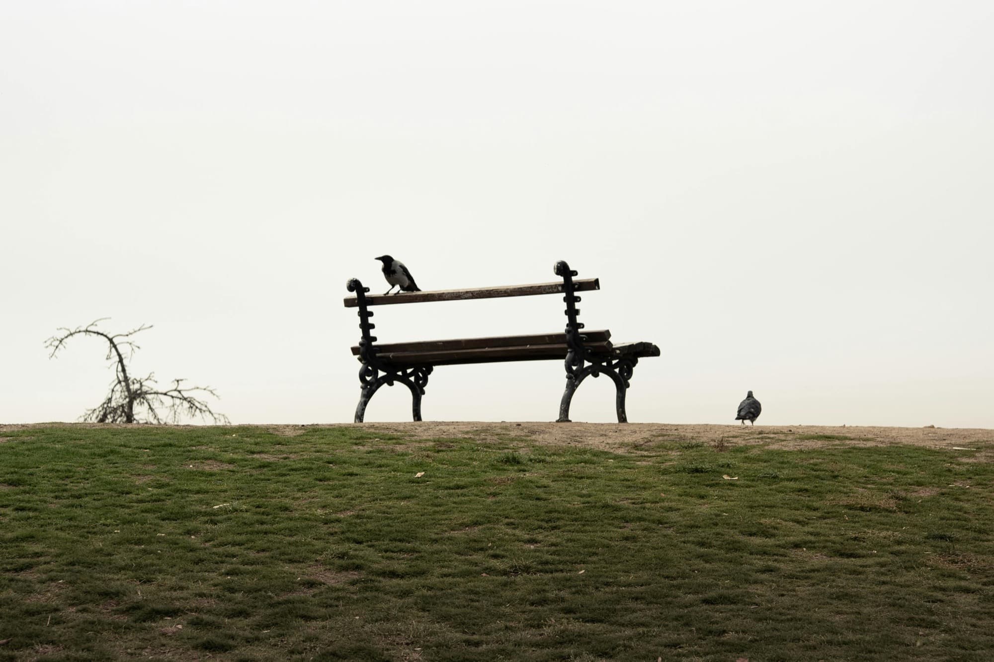 Bench scene — Onetap Labs